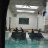IMG_20251124_130726