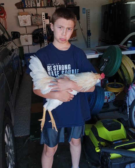 46 joel rooster