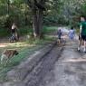 18 walk