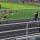 16 ginny run