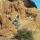 hike benjamin becca2