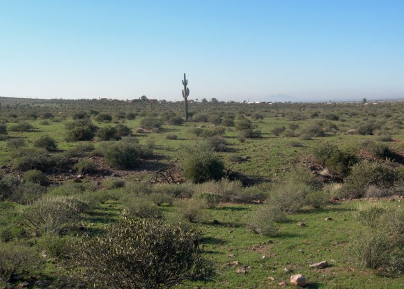 hike scenery2
