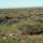 hike scenery