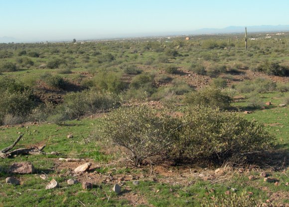 hike scenery