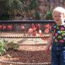 42 hannah flamingos
