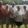 robert helen john donna lavonne dale