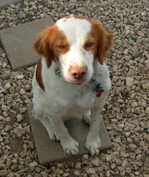 08 charlie