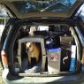 packed4