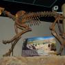 04 skeleton