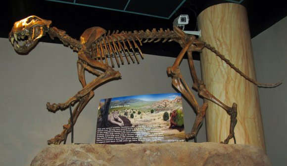04 skeleton