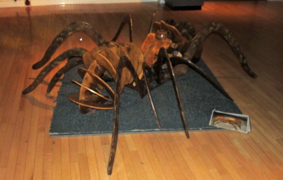 19 tarantula