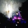 12 disney