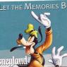 ticket goofy