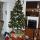01 tree