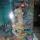 13 fish