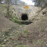 31 bat tunnel (2)