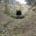 31 bat tunnel (2)