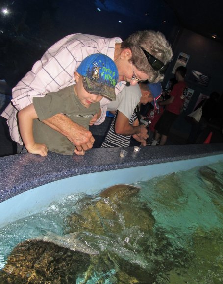 06 benjamin pat sting ray