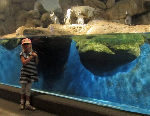 22 hannah penguins