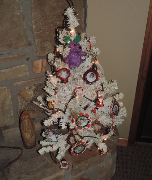 28 tree