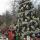 32 tree