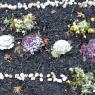 09 snow on plants