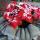 25 snow on poinsettas