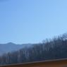 29 tram view (3)