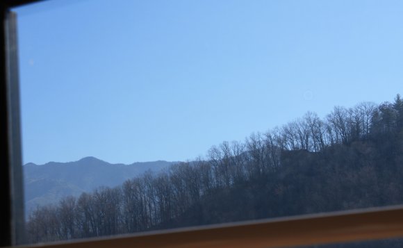 29 tram view (3)