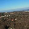 29 tram view (7)