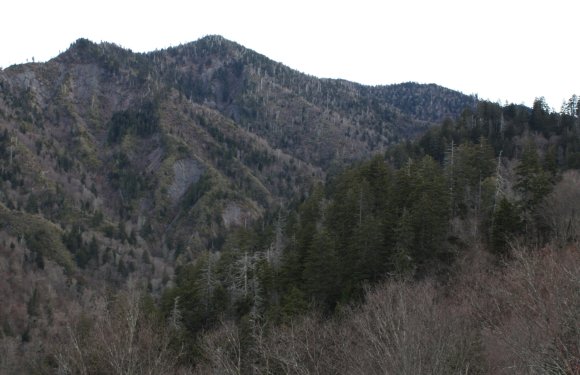 05 view