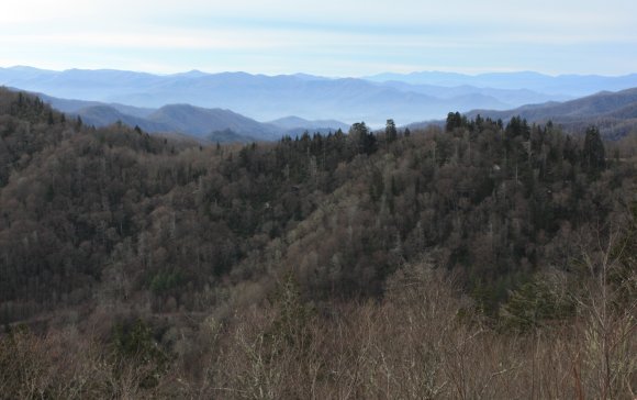 09 view
