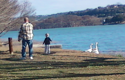 geese donald benjamin2
