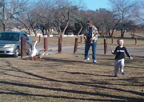 geese donald benjamin