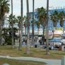 12 venice beach2
