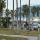 12 venice beach2