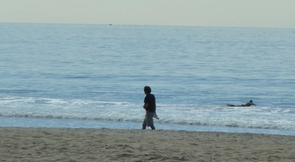 16 ocean