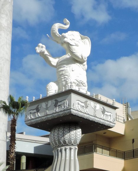 25 elephant