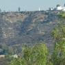 30 hollywood view