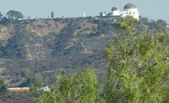 30 hollywood view