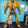 35 bumble bee benjamin