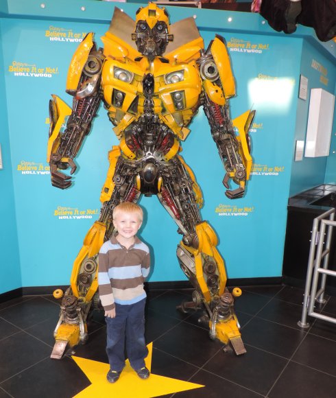 35 bumble bee benjamin