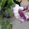 flower3