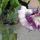flower3