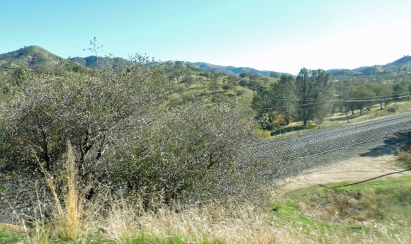 DSCN3644