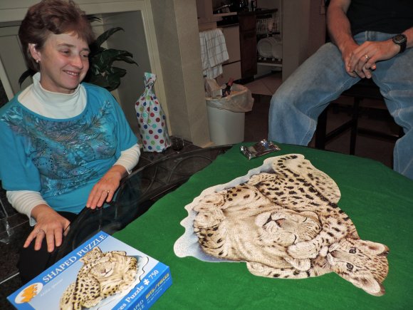 55 puzzle carol