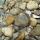 rocks