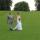 wedding4