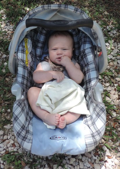 joel (2)