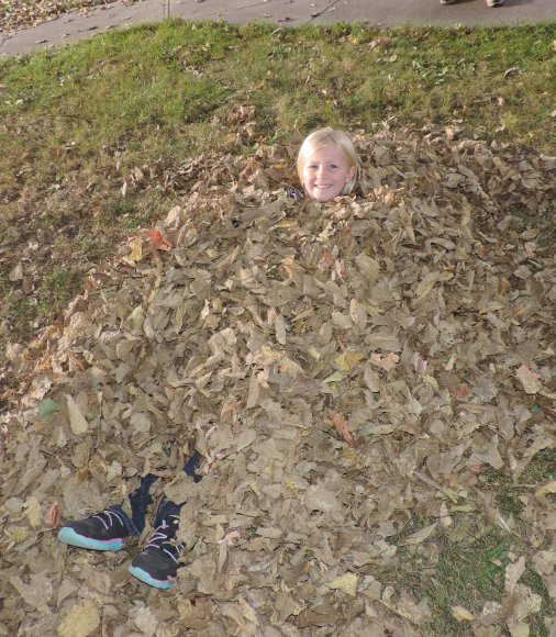 40 hannah